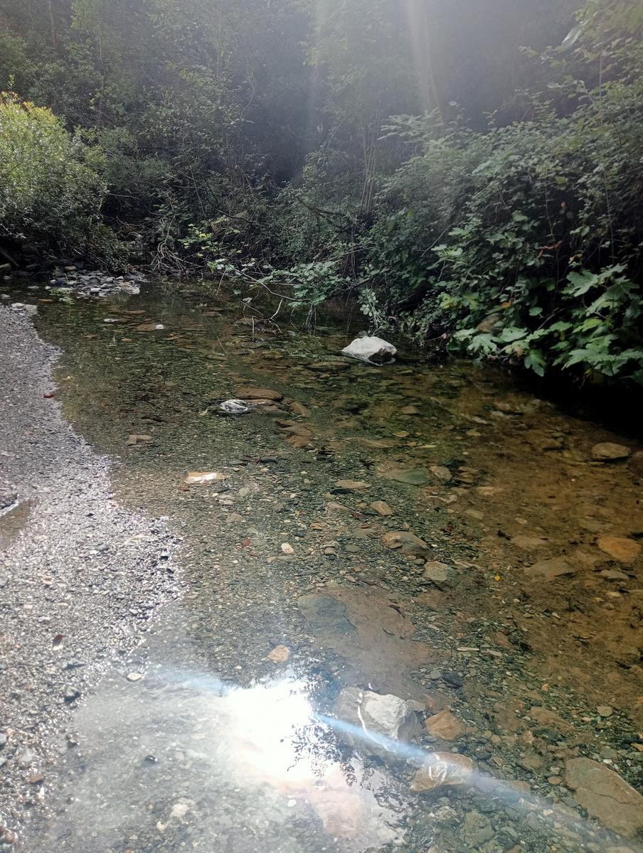 Pomaia e Poggi - foto 21