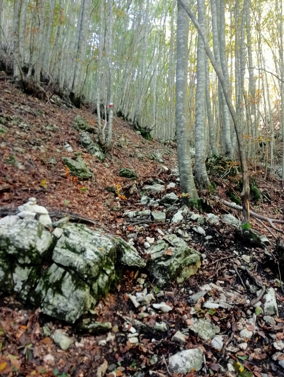 Monte Macina ~ Monte Sella con cresta Macina/Sella - foto 21