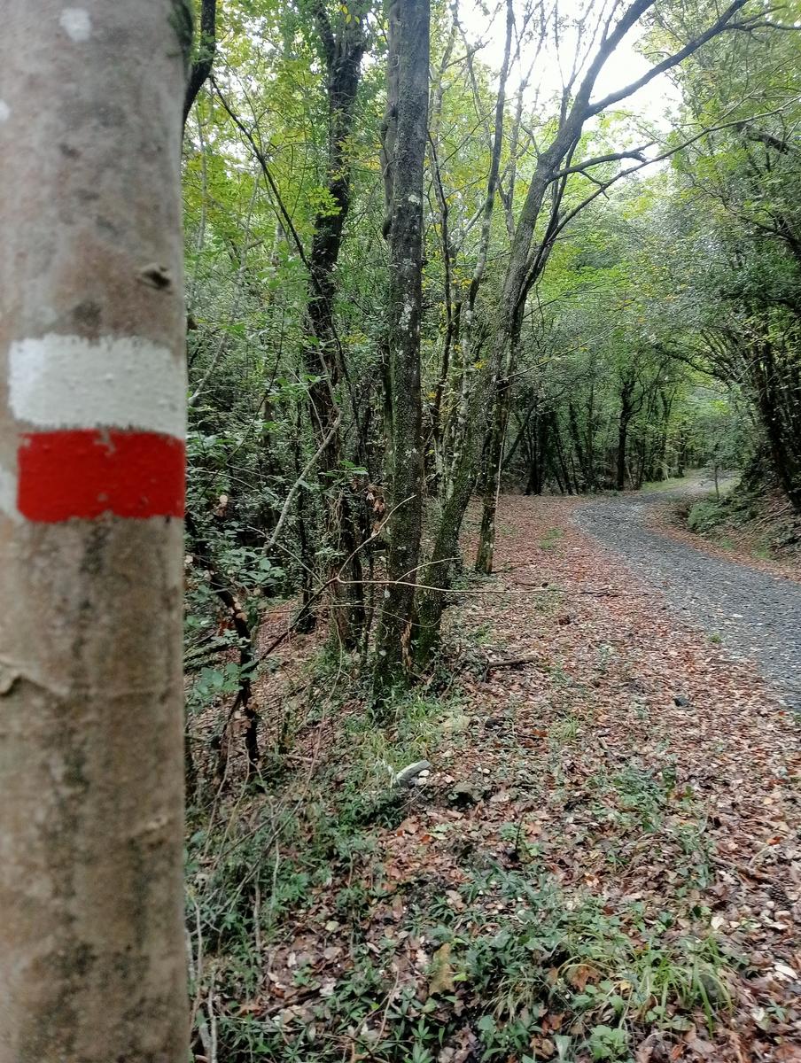 Anello Santa Luce Anello ~Cascate e Terre di Matilde - foto 2