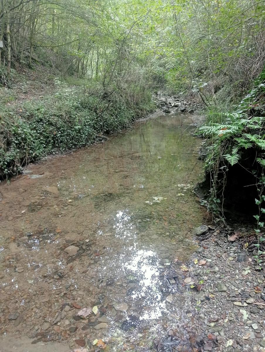 Anello Santa Luce Anello ~Cascate e Terre di Matilde - foto 7