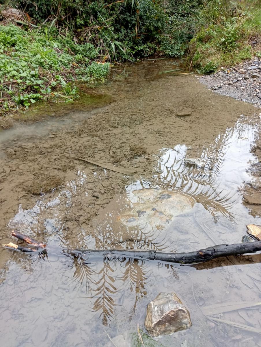 Anello Santa Luce Anello ~Cascate e Terre di Matilde - foto 11