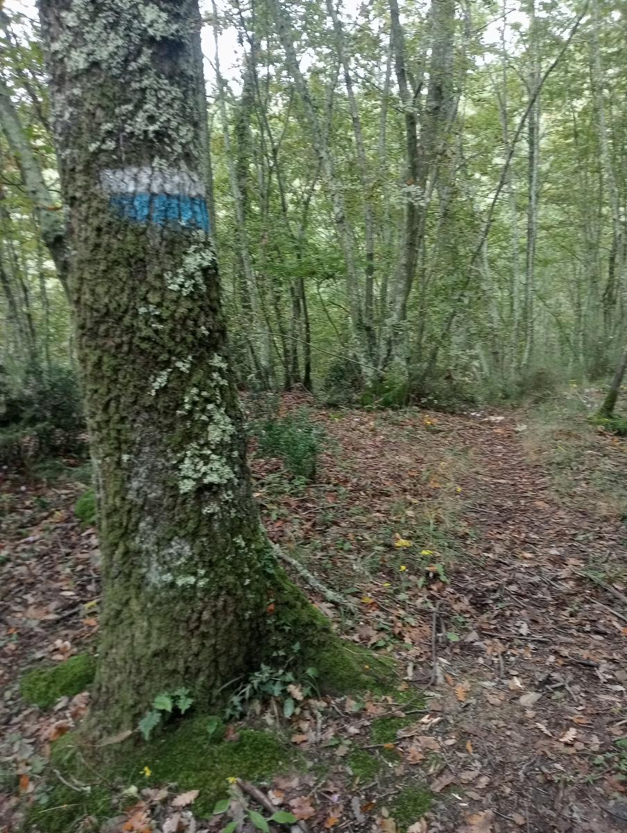 Anello Santa Luce Anello ~Cascate e Terre di Matilde - foto 12