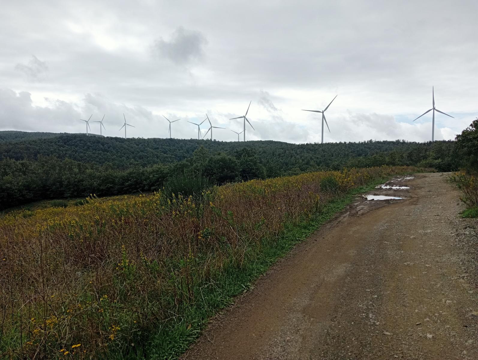 Anello Santa Luce Anello ~Cascate e Terre di Matilde - foto 14