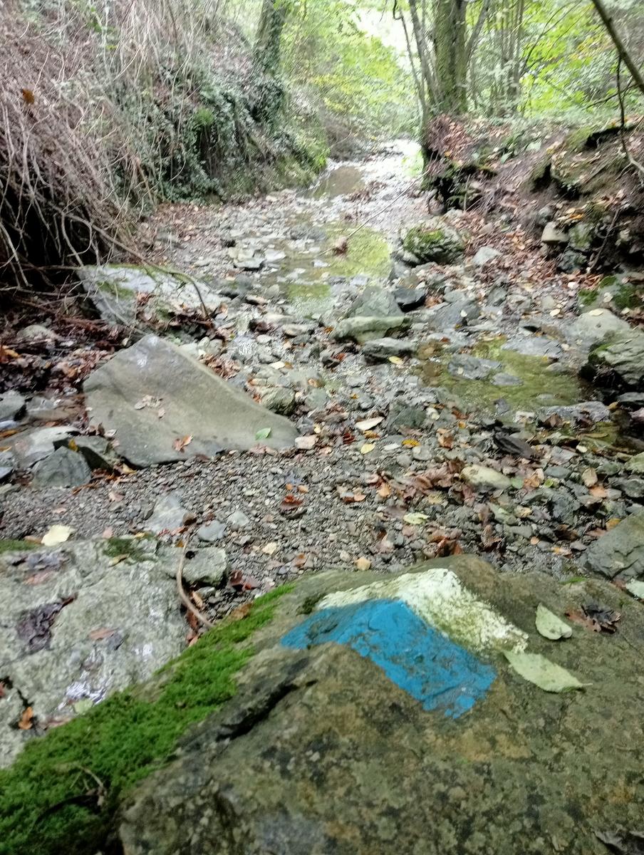 Anello Santa Luce Anello ~Cascate e Terre di Matilde - foto 19