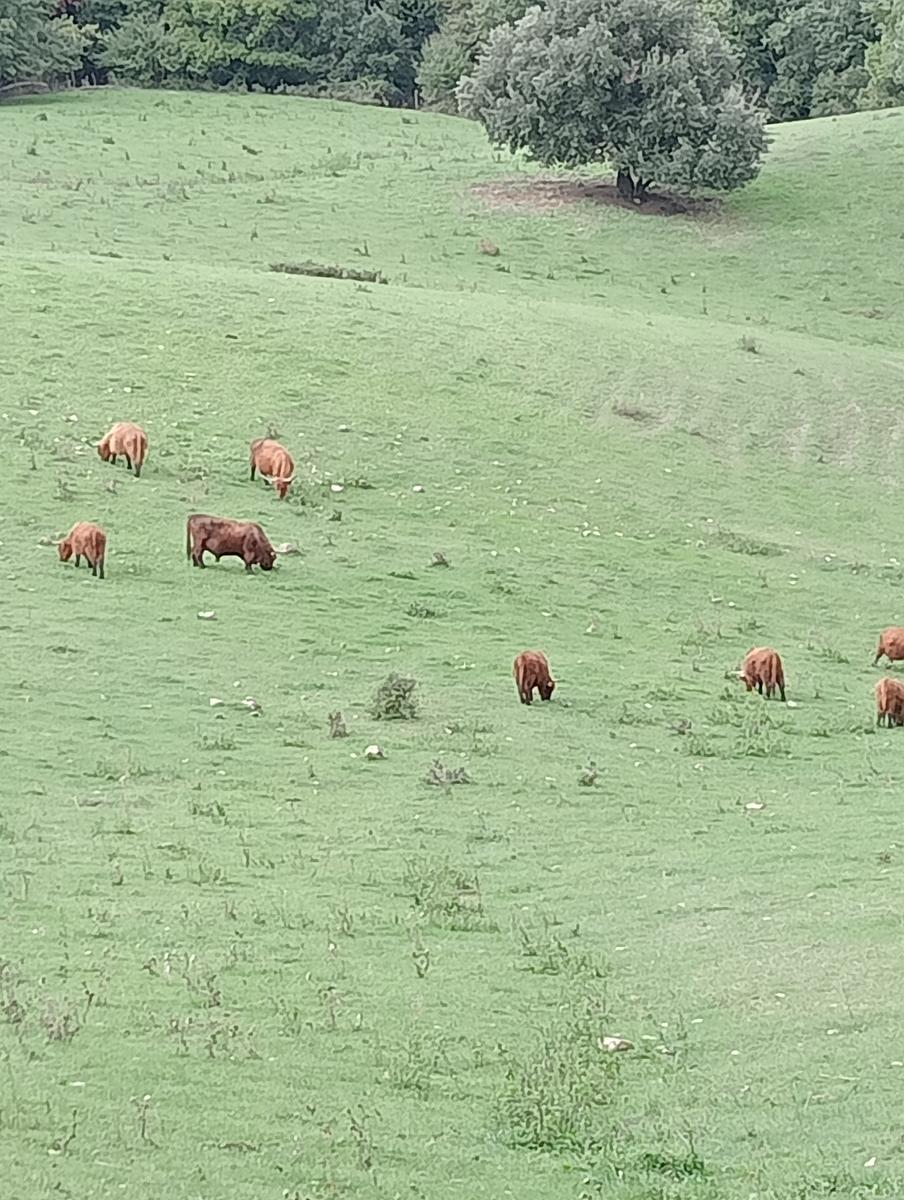 Anello Santa Luce Anello ~Cascate e Terre di Matilde - foto 23