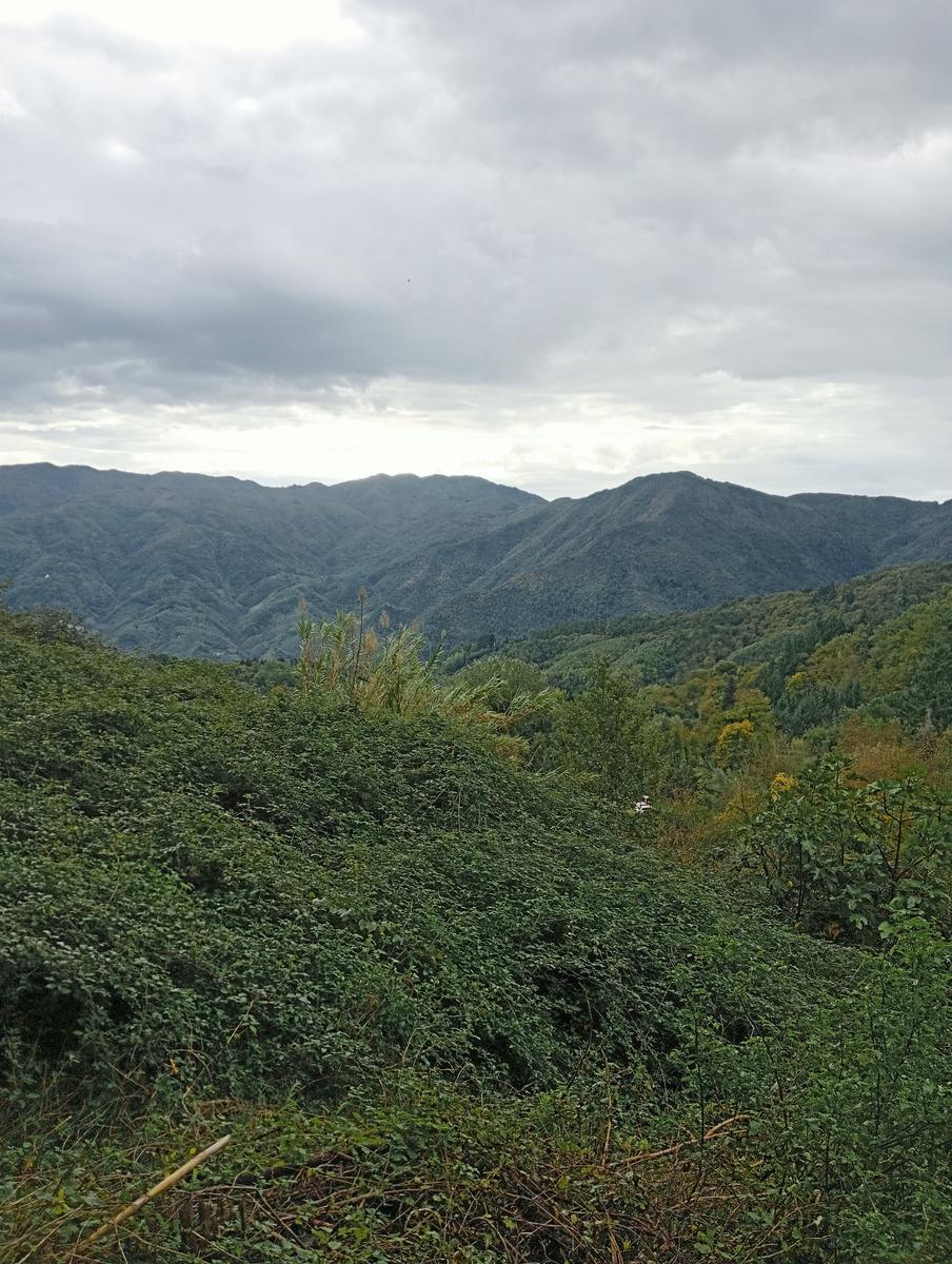 Eremo di San Bartolomeo, Monte Bargiglio, Monte Agliale e Eremo di San Cristina da Borgo a Mozzano - foto 2