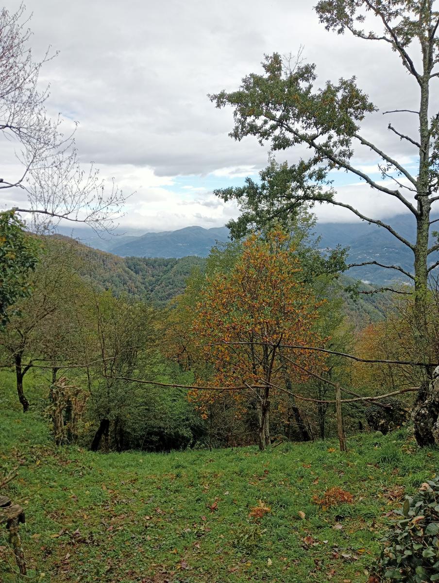 Eremo di San Bartolomeo, Monte Bargiglio, Monte Agliale e Eremo di San Cristina da Borgo a Mozzano - foto 4