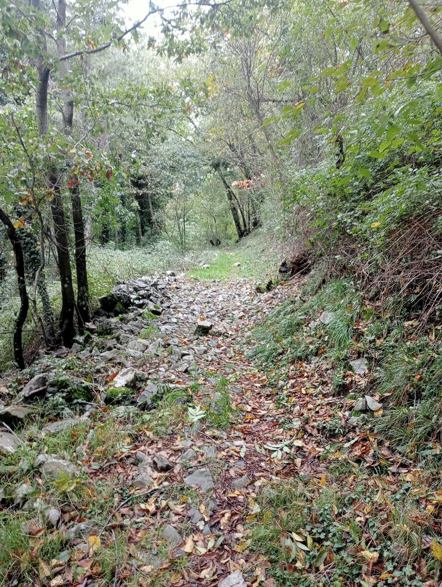 Eremo di San Bartolomeo, Monte Bargiglio, Monte Agliale e Eremo di San Cristina da Borgo a Mozzano - foto 5