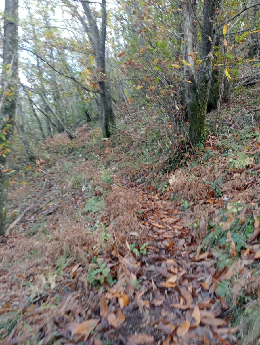 Eremo di San Bartolomeo, Monte Bargiglio, Monte Agliale e Eremo di San Cristina da Borgo a Mozzano - foto 8
