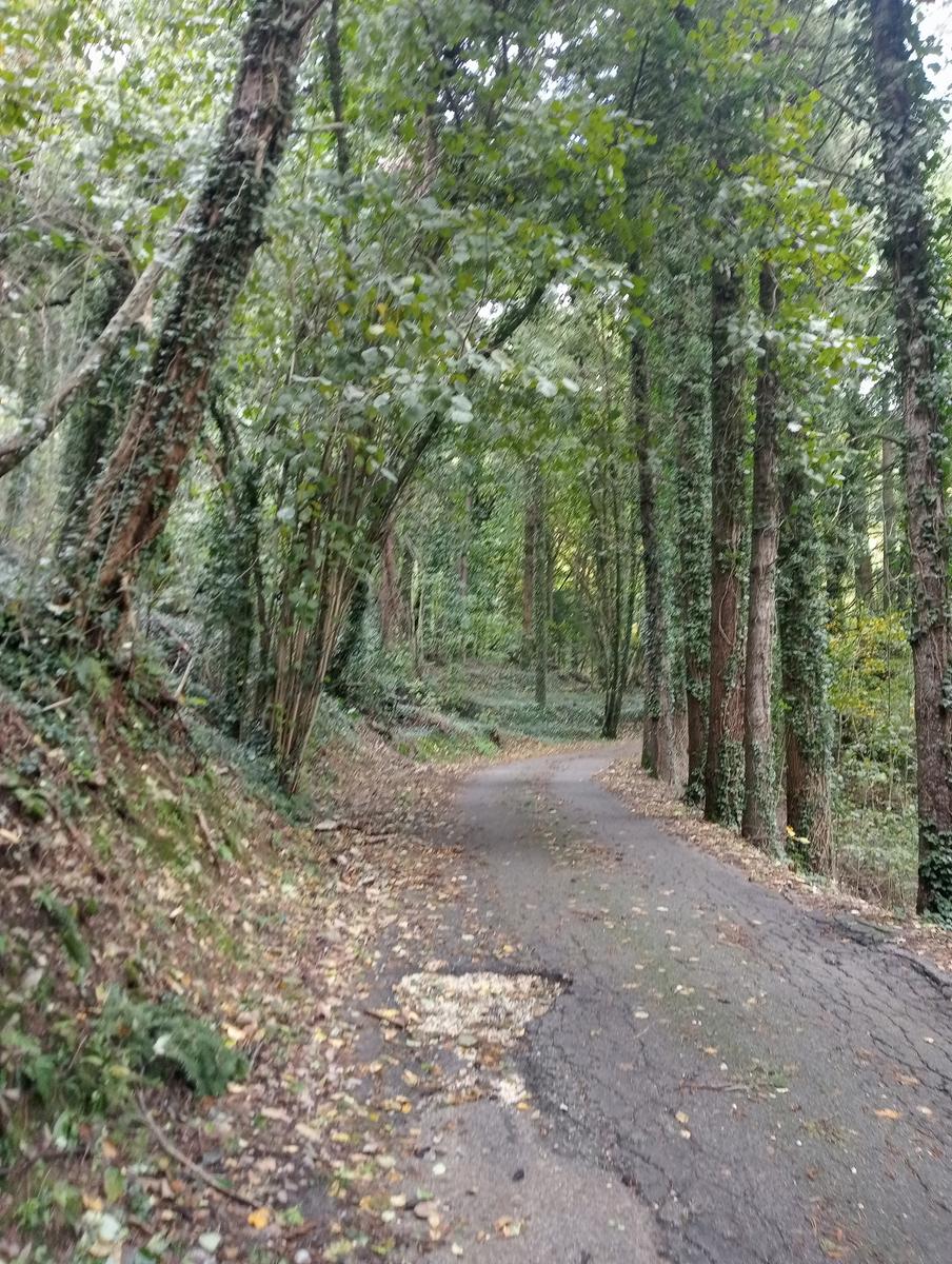 Eremo di San Bartolomeo, Monte Bargiglio, Monte Agliale e Eremo di San Cristina da Borgo a Mozzano - foto 12
