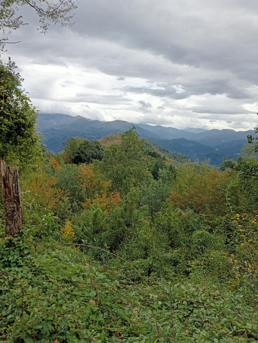 Eremo di San Bartolomeo, Monte Bargiglio, Monte Agliale e Eremo di San Cristina da Borgo a Mozzano - foto 13