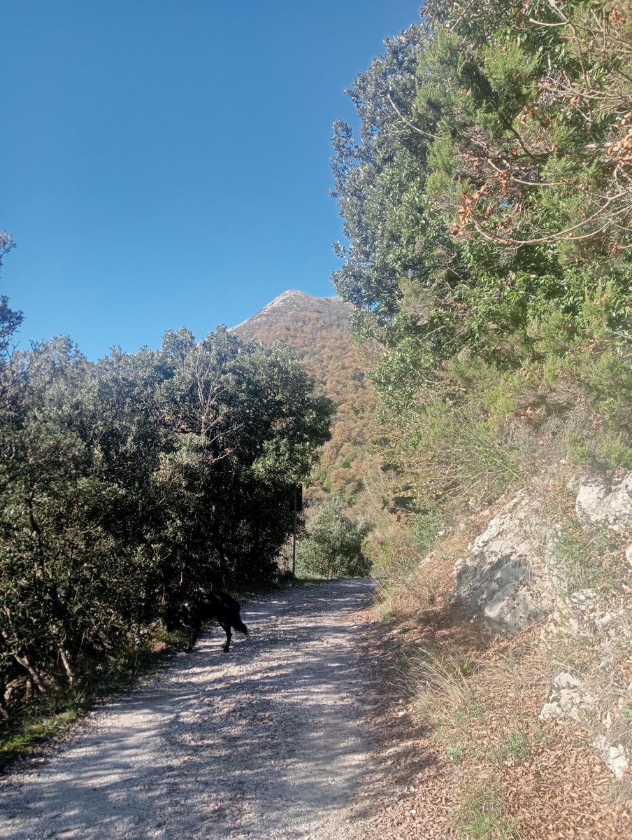 Lucese - Prana - Baita Barsi - Baita Verde - Campo all'orzo - foto 2