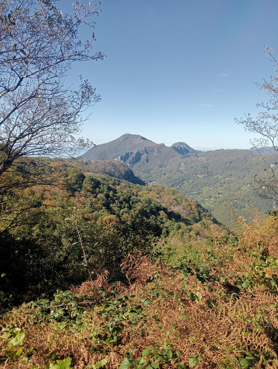 Lucese - Prana - Baita Barsi - Baita Verde - Campo all'orzo - foto 3