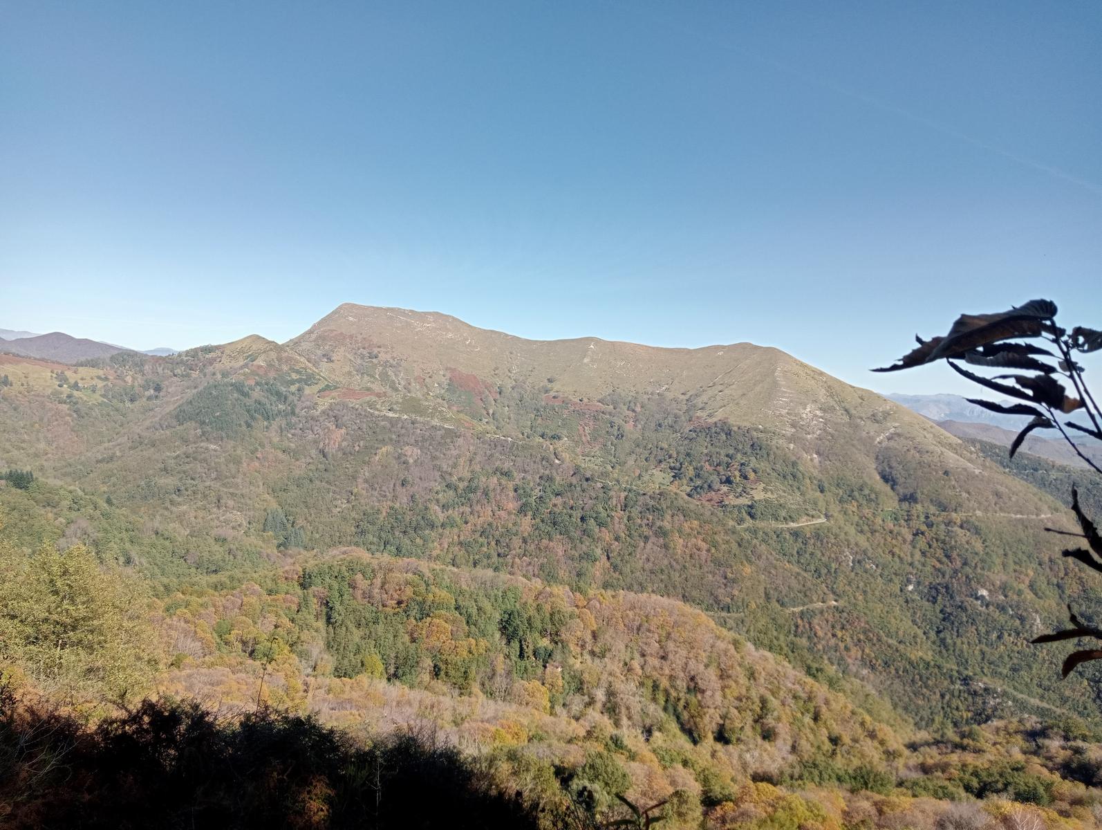 Lucese - Prana - Baita Barsi - Baita Verde - Campo all'orzo - foto 5