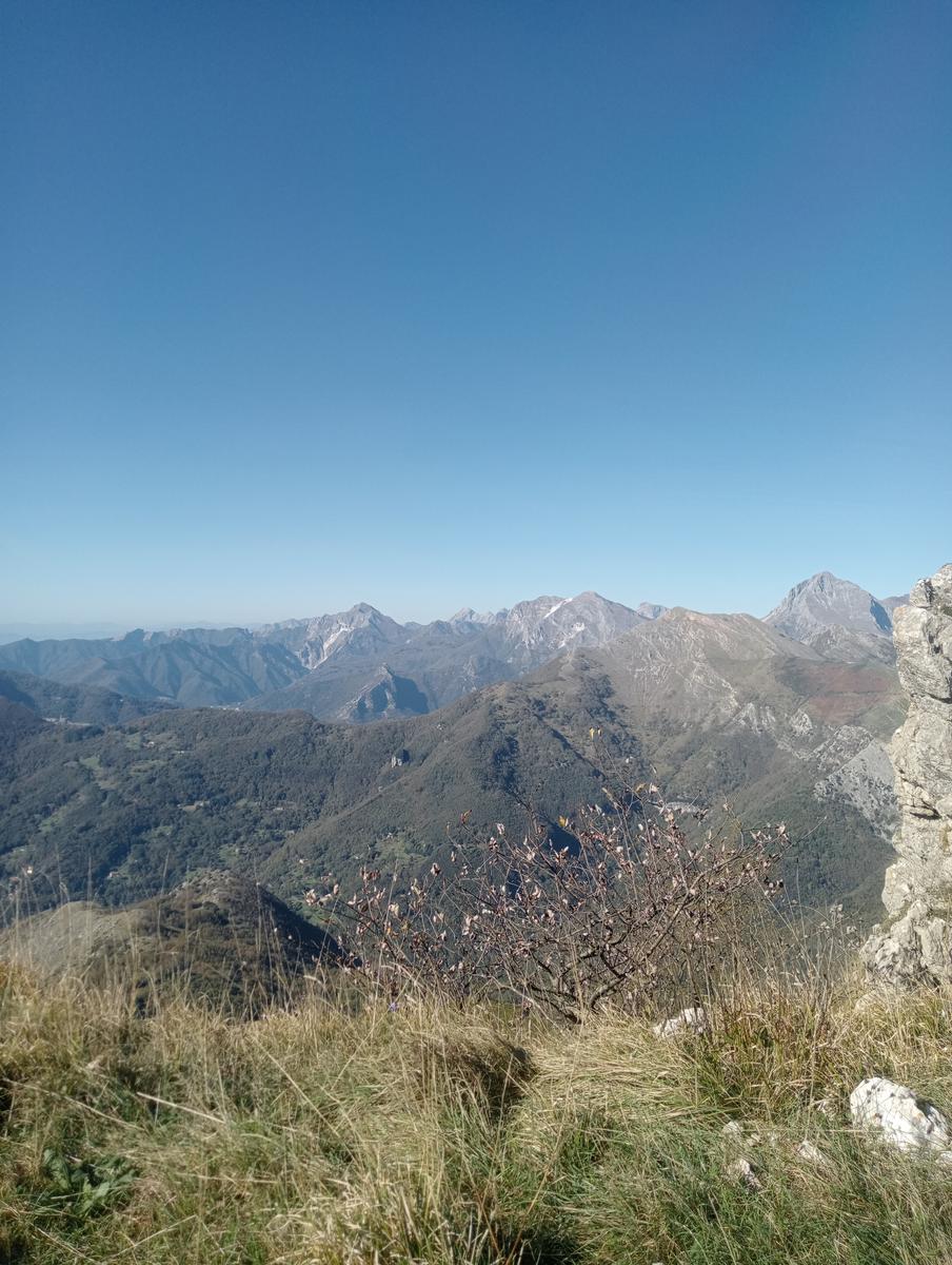 Lucese - Prana - Baita Barsi - Baita Verde - Campo all'orzo - foto 7