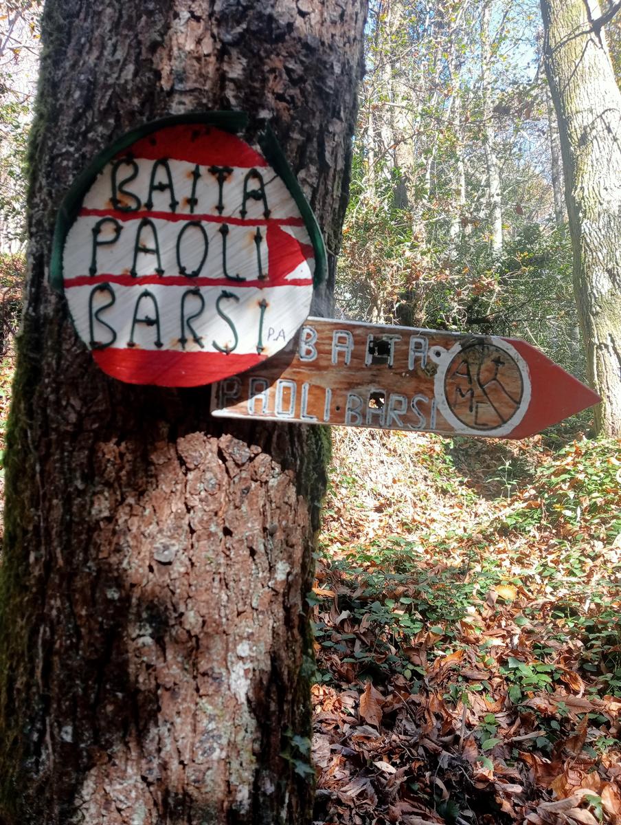 Lucese - Prana - Baita Barsi - Baita Verde - Campo all'orzo - foto 8