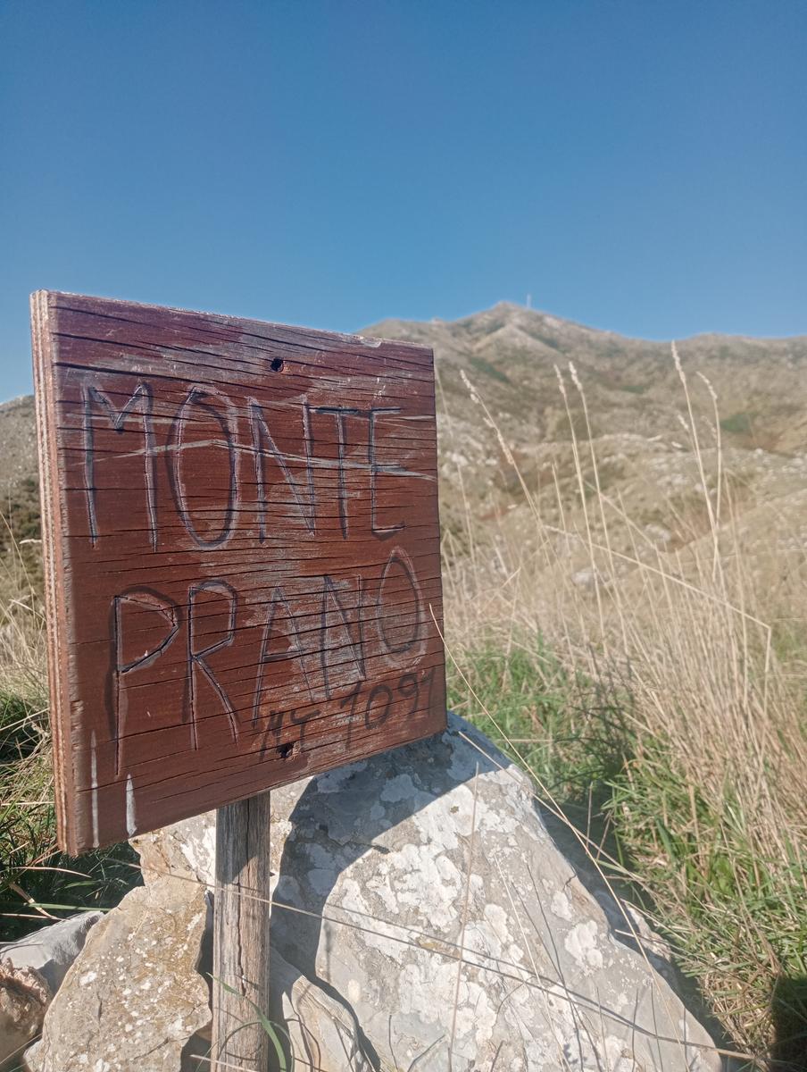 Lucese - Prana - Baita Barsi - Baita Verde - Campo all'orzo - foto 12