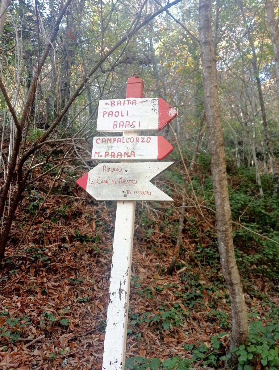 Lucese - Prana - Baita Barsi - Baita Verde - Campo all'orzo - foto 14