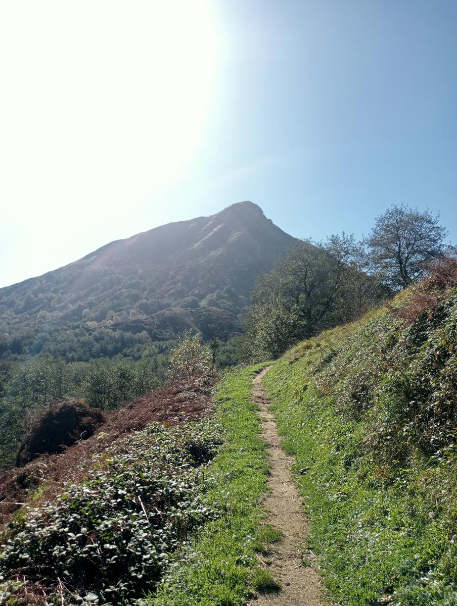 Lucese - Prana - Baita Barsi - Baita Verde - Campo all'orzo - foto 16
