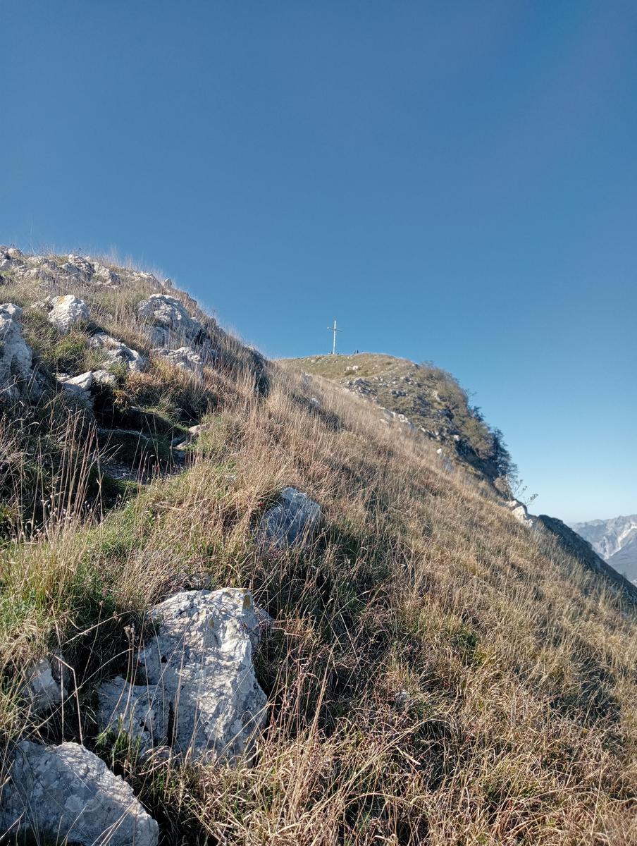 Lucese - Prana - Baita Barsi - Baita Verde - Campo all'orzo - foto 18