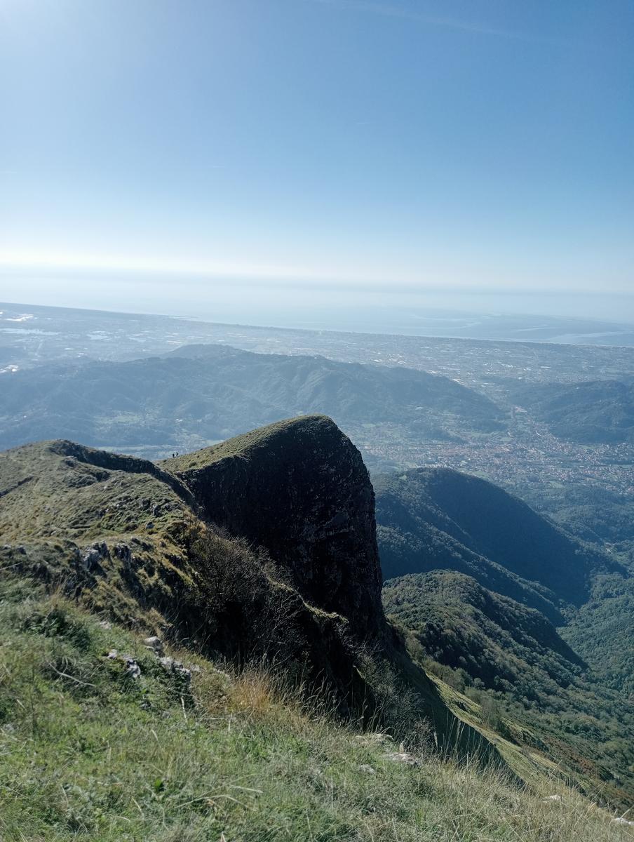 Lucese - Prana - Baita Barsi - Baita Verde - Campo all'orzo - foto 20