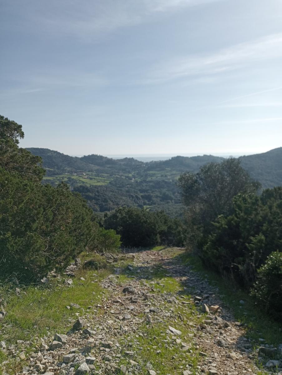Campiglia Marittima ~ Rocca di San Silvestro - foto 8