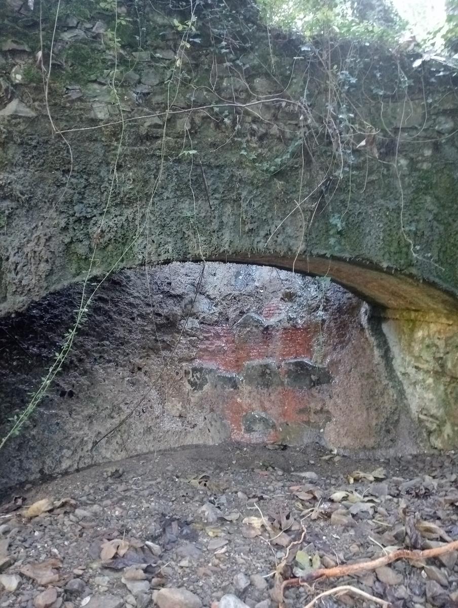 Campiglia Marittima ~ Rocca di San Silvestro - foto 12