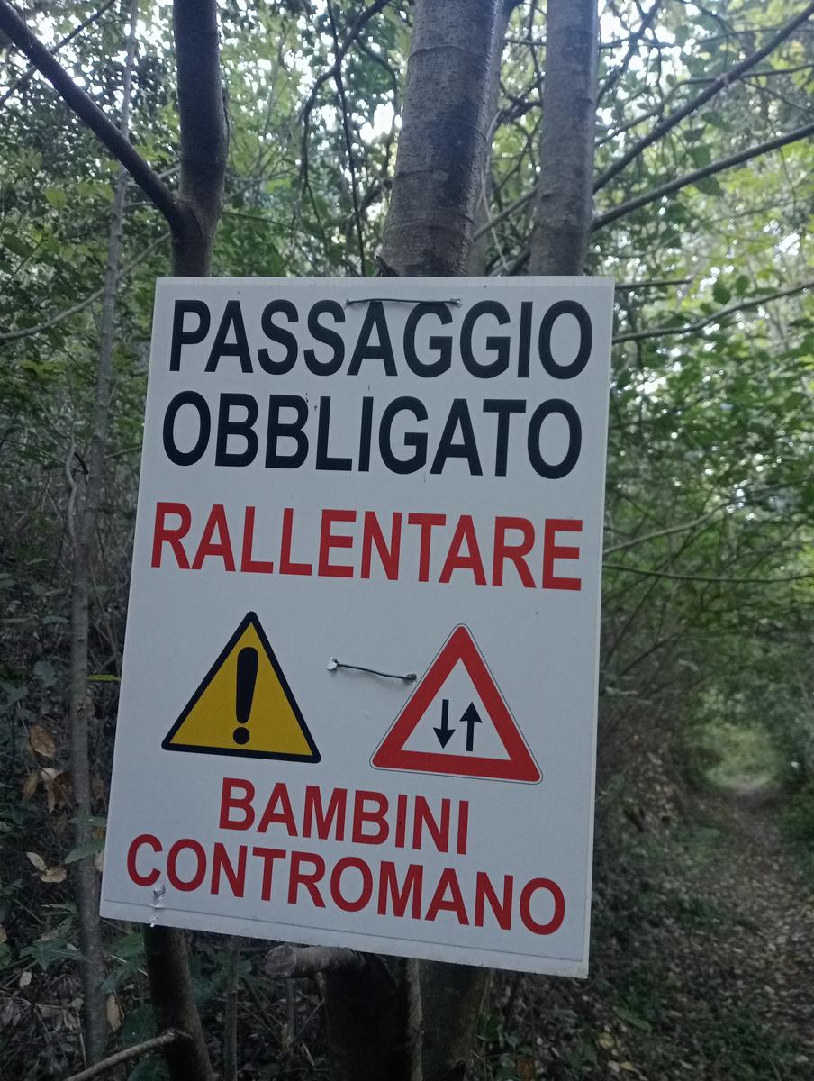 Campiglia Marittima ~ Rocca di San Silvestro - foto 14