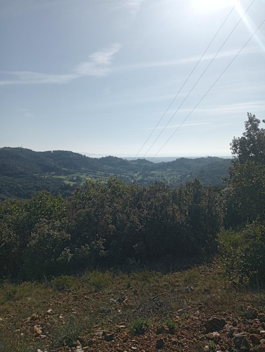 Campiglia Marittima ~ Rocca di San Silvestro - foto 16