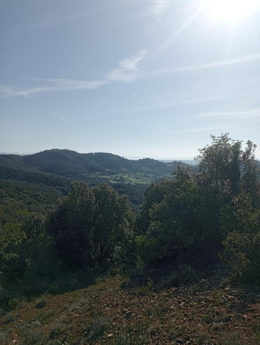 Campiglia Marittima ~ Rocca di San Silvestro - foto 26