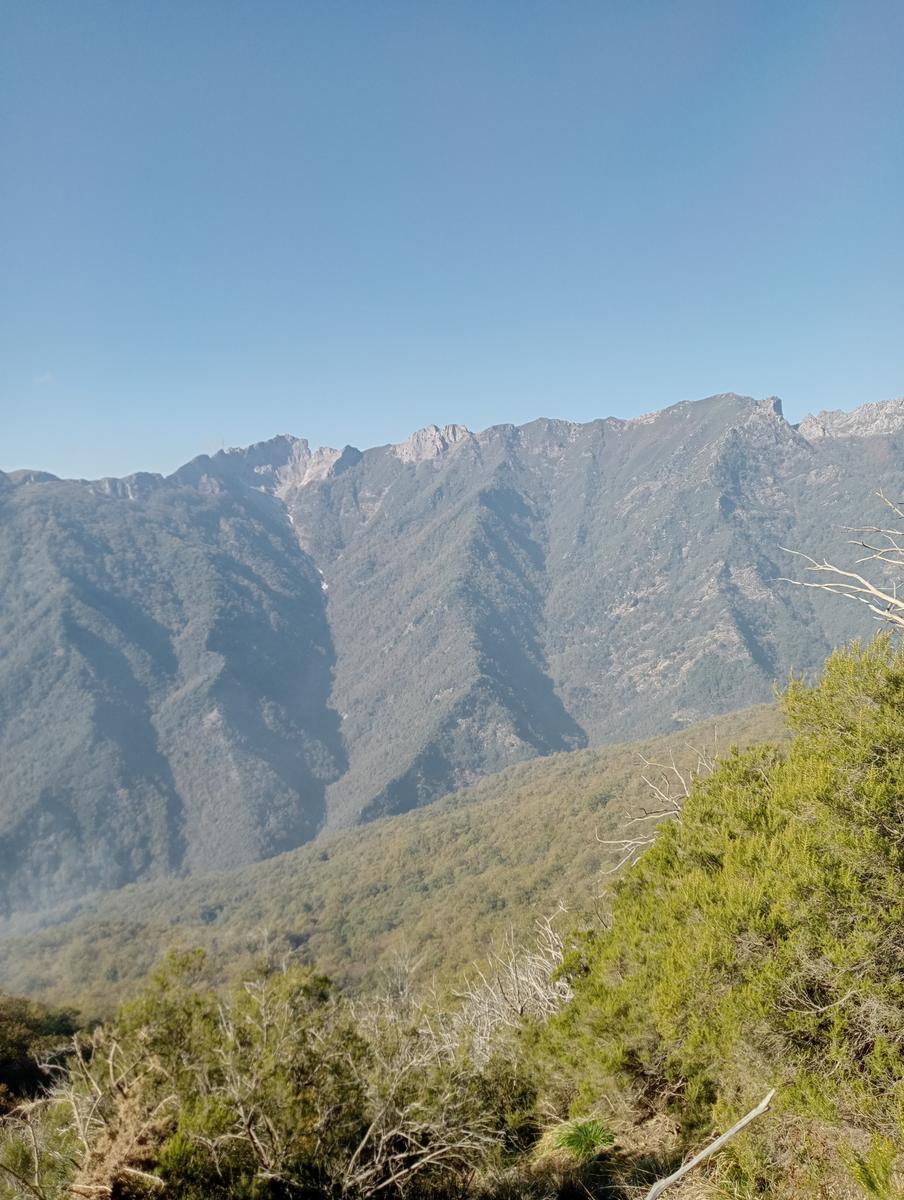Da Minazzana al Cavallo d'Azzano per la Cresta Nord Ovest - foto 3