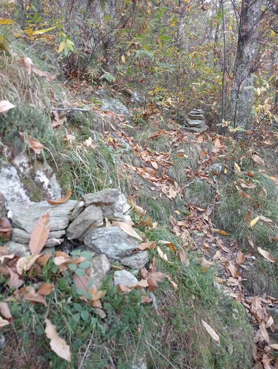 Da Minazzana al Cavallo d'Azzano per la Cresta Nord Ovest - foto 4