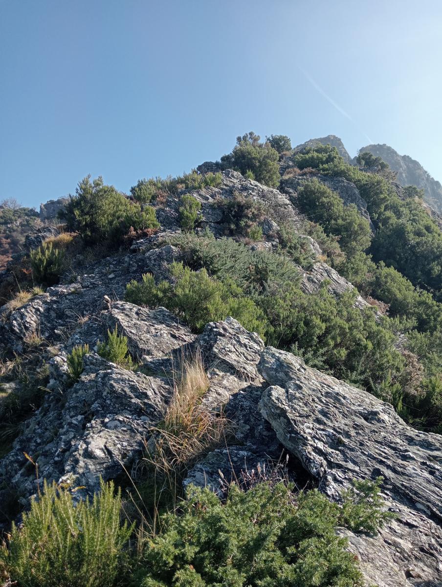 Da Minazzana al Cavallo d'Azzano per la Cresta Nord Ovest - foto 5
