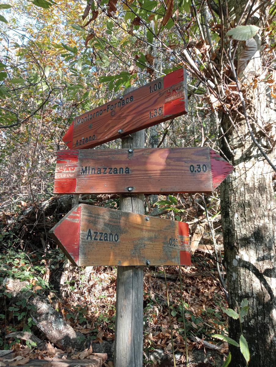Da Minazzana al Cavallo d'Azzano per la Cresta Nord Ovest - foto 7