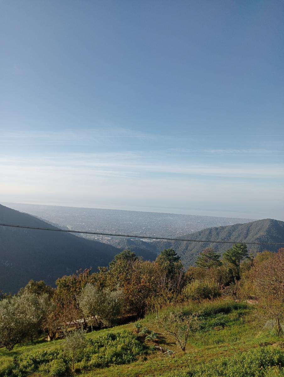 Da Minazzana al Cavallo d'Azzano per la Cresta Nord Ovest - foto 9