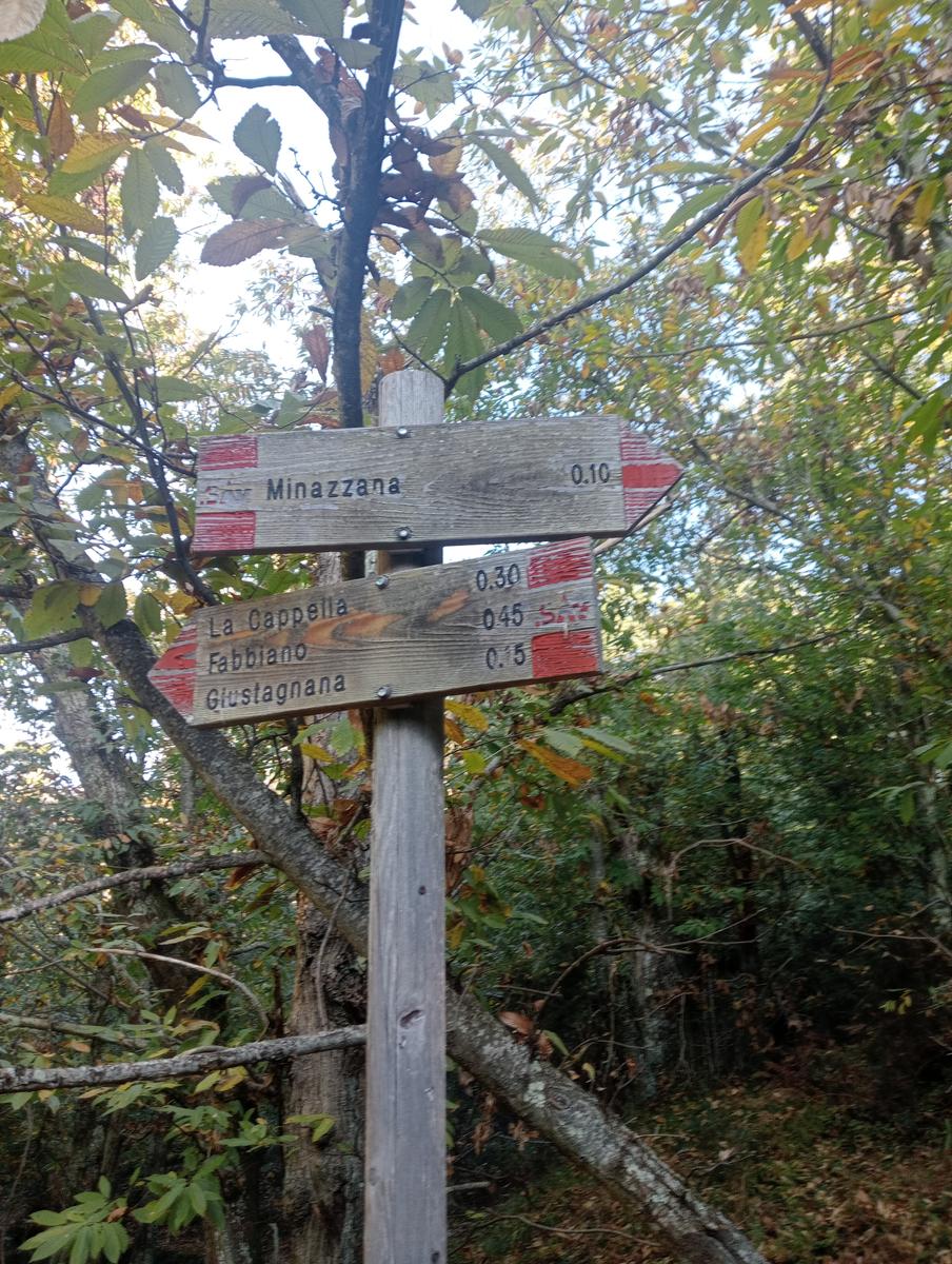 Da Minazzana al Cavallo d'Azzano per la Cresta Nord Ovest - foto 10