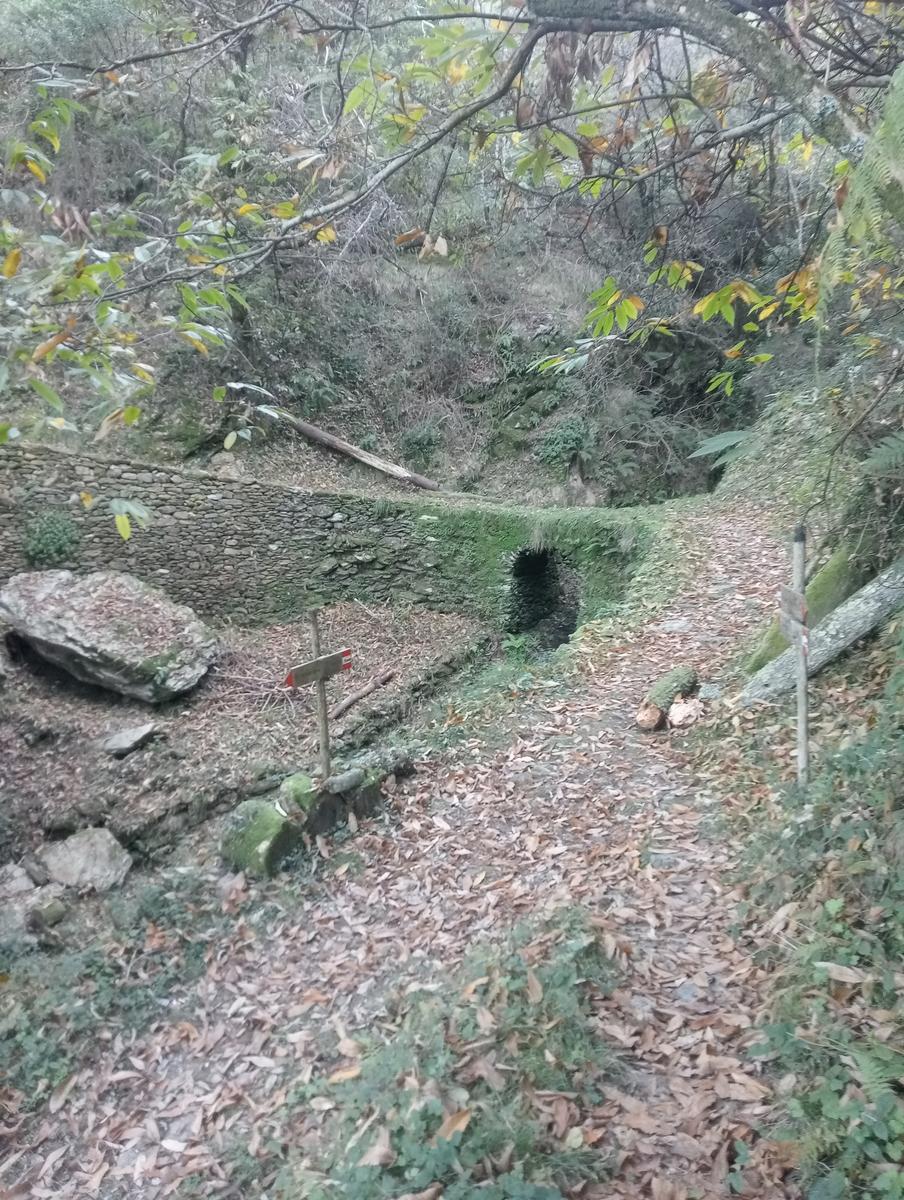 Da Minazzana al Cavallo d'Azzano per la Cresta Nord Ovest - foto 11
