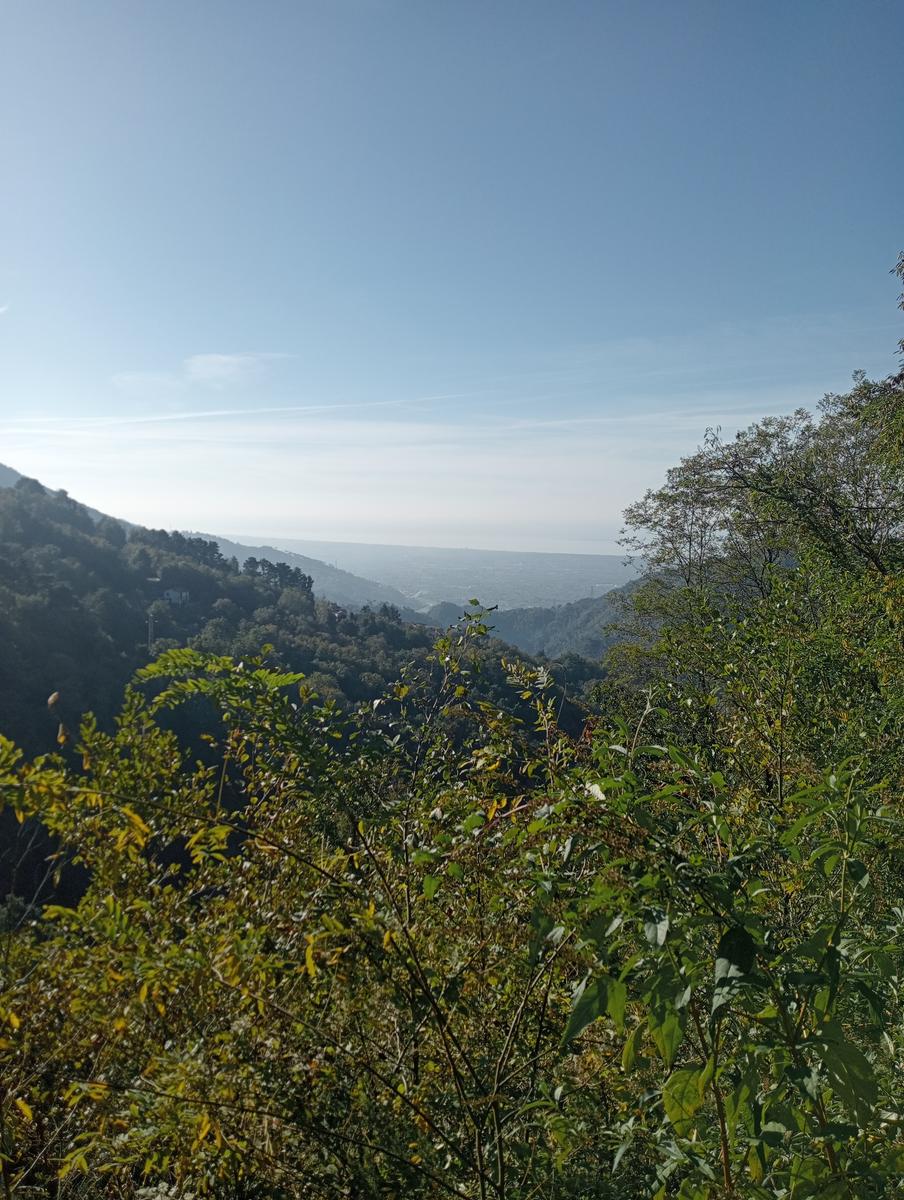 Da Minazzana al Cavallo d'Azzano per la Cresta Nord Ovest - foto 12