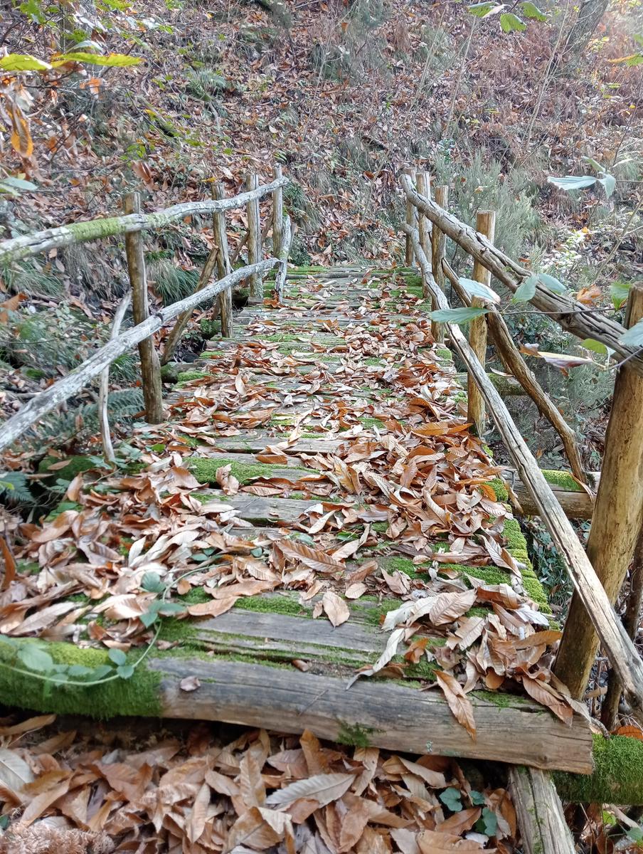 Da Minazzana al Cavallo d'Azzano per la Cresta Nord Ovest - foto 17