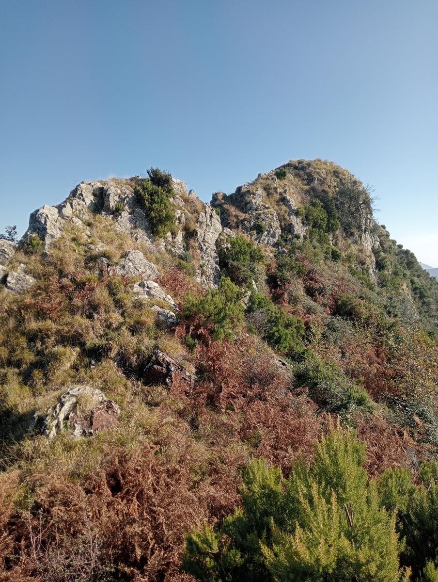 Da Minazzana al Cavallo d'Azzano per la Cresta Nord Ovest - foto 19