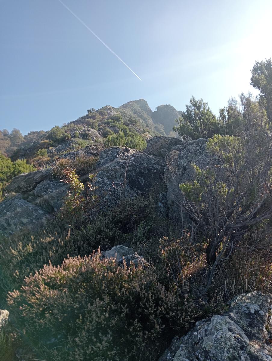 Da Minazzana al Cavallo d'Azzano per la Cresta Nord Ovest - foto 21
