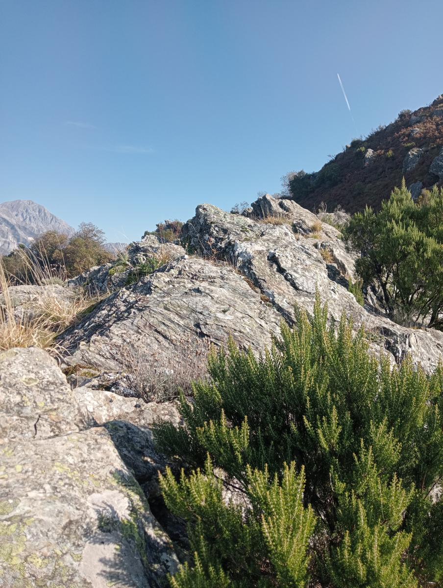 Da Minazzana al Cavallo d'Azzano per la Cresta Nord Ovest - foto 23