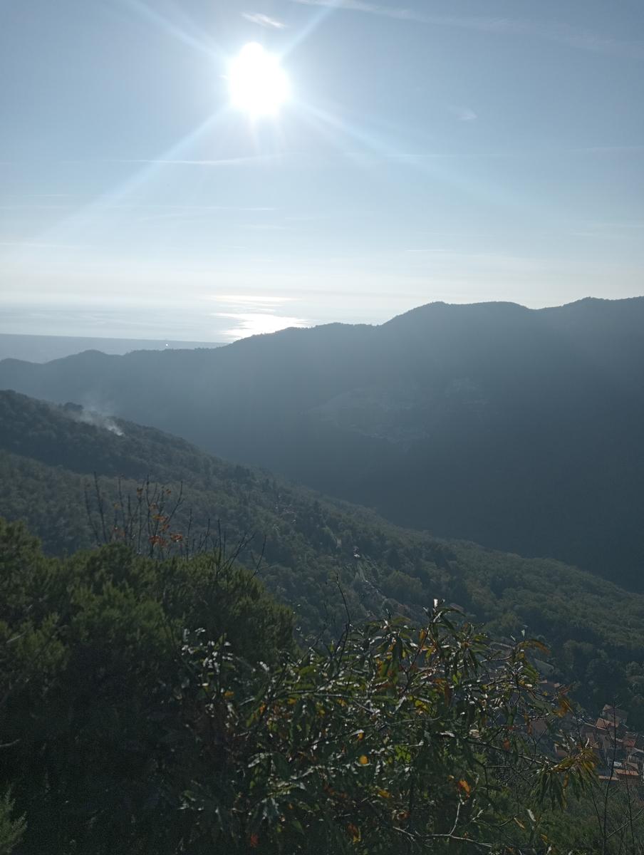 Da Minazzana al Cavallo d'Azzano per la Cresta Nord Ovest - foto 27