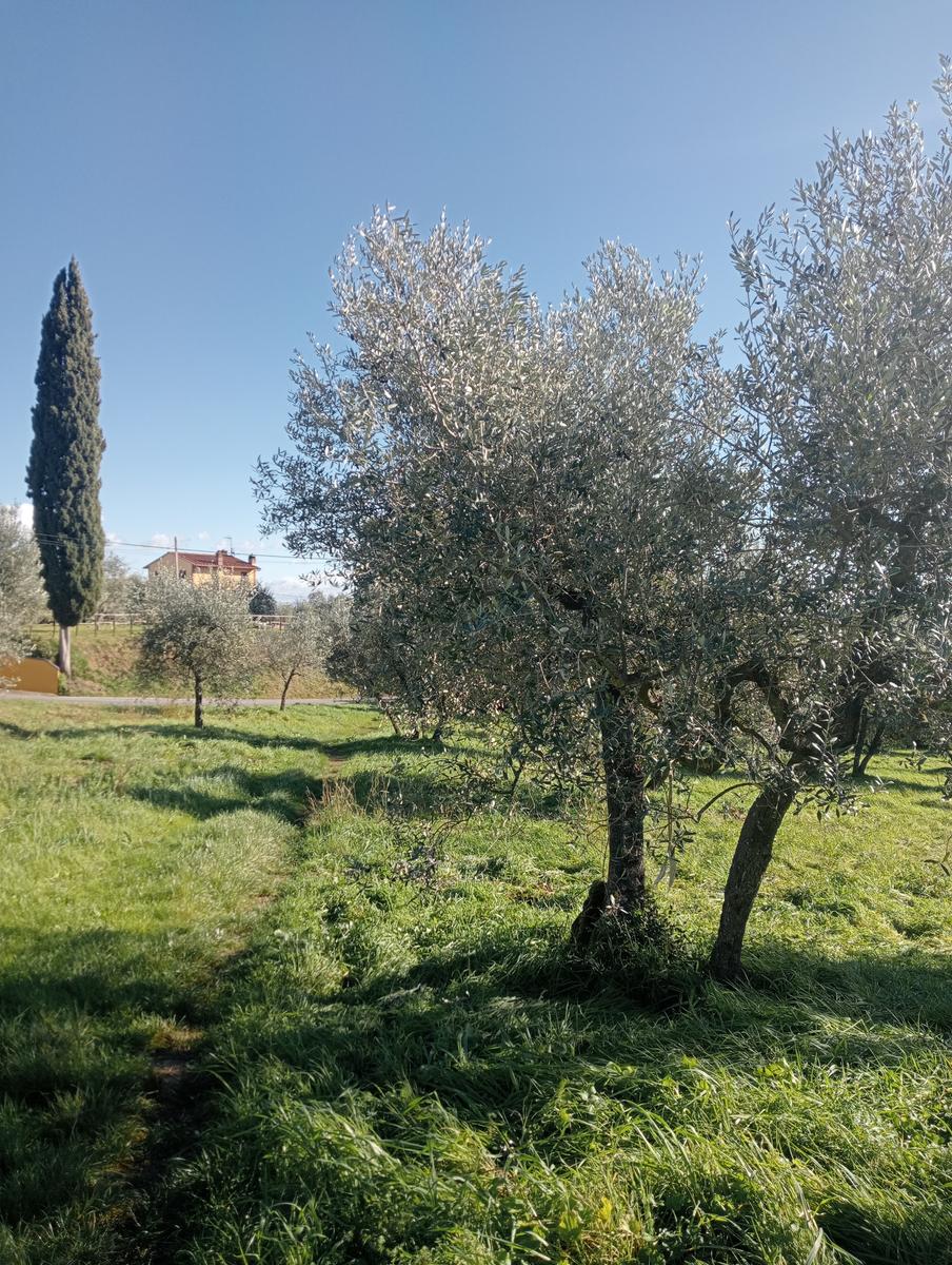 Gambassi terme - foto 2