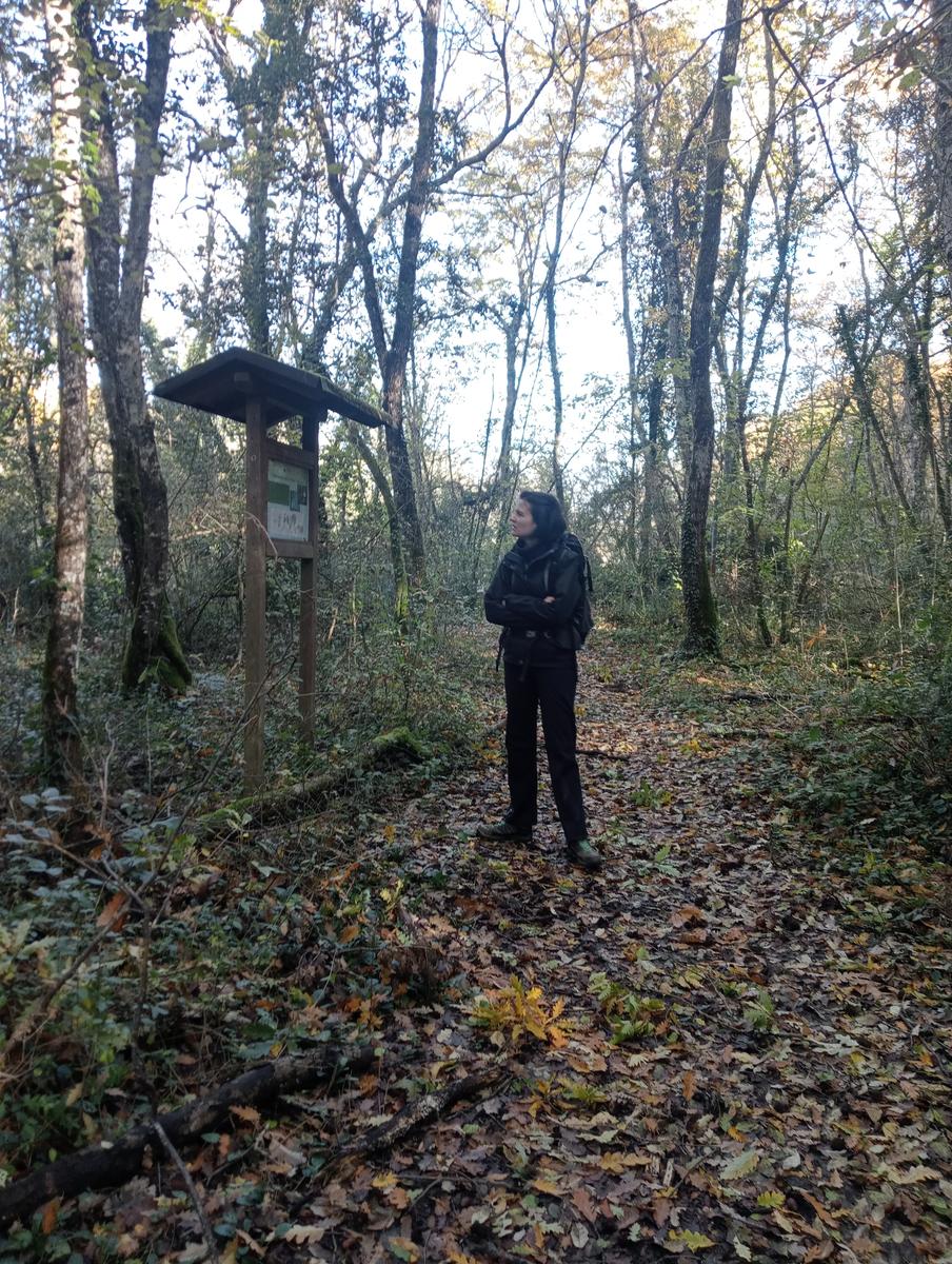 Gambassi terme - foto 4