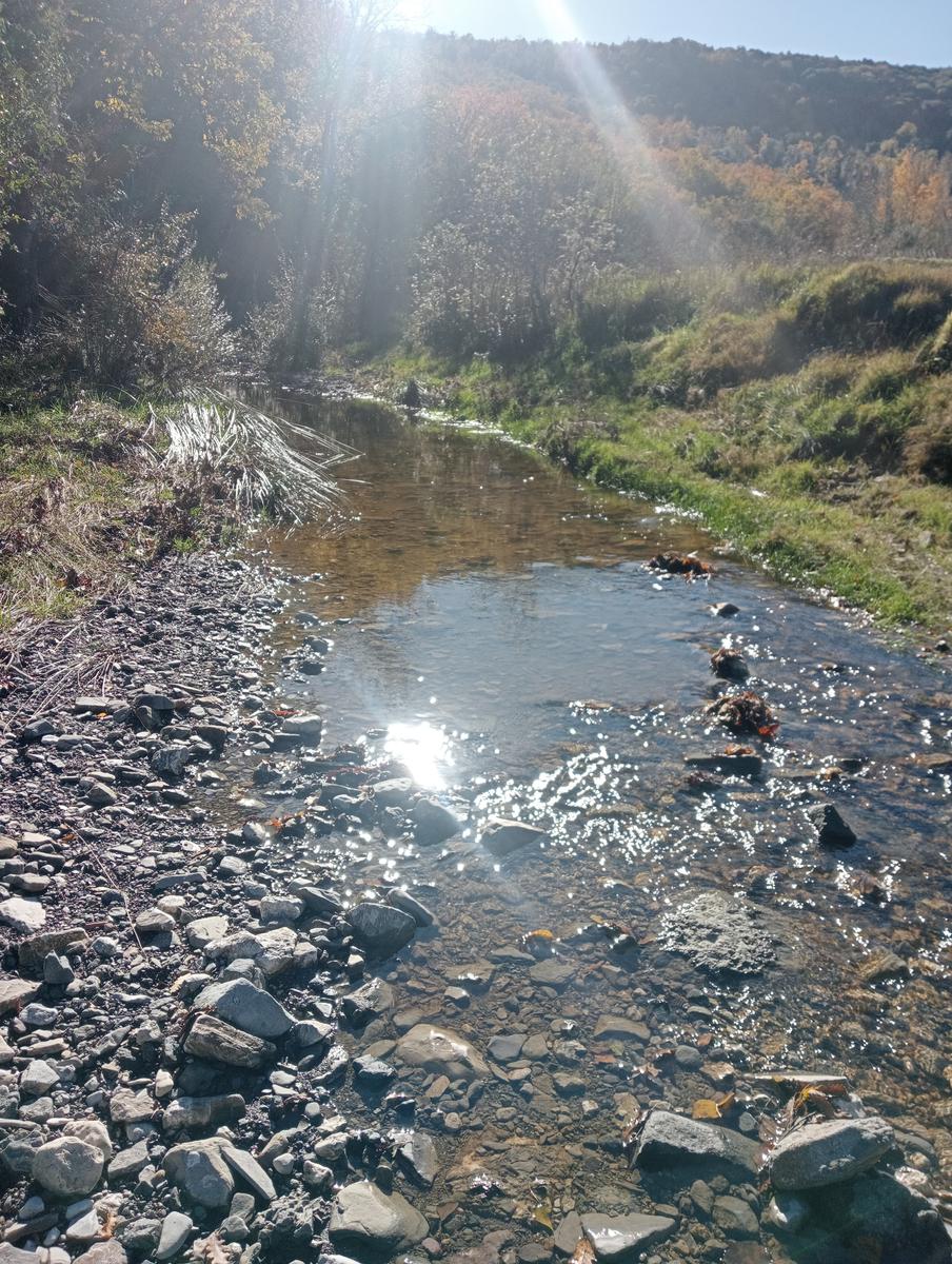 Gambassi terme - foto 5