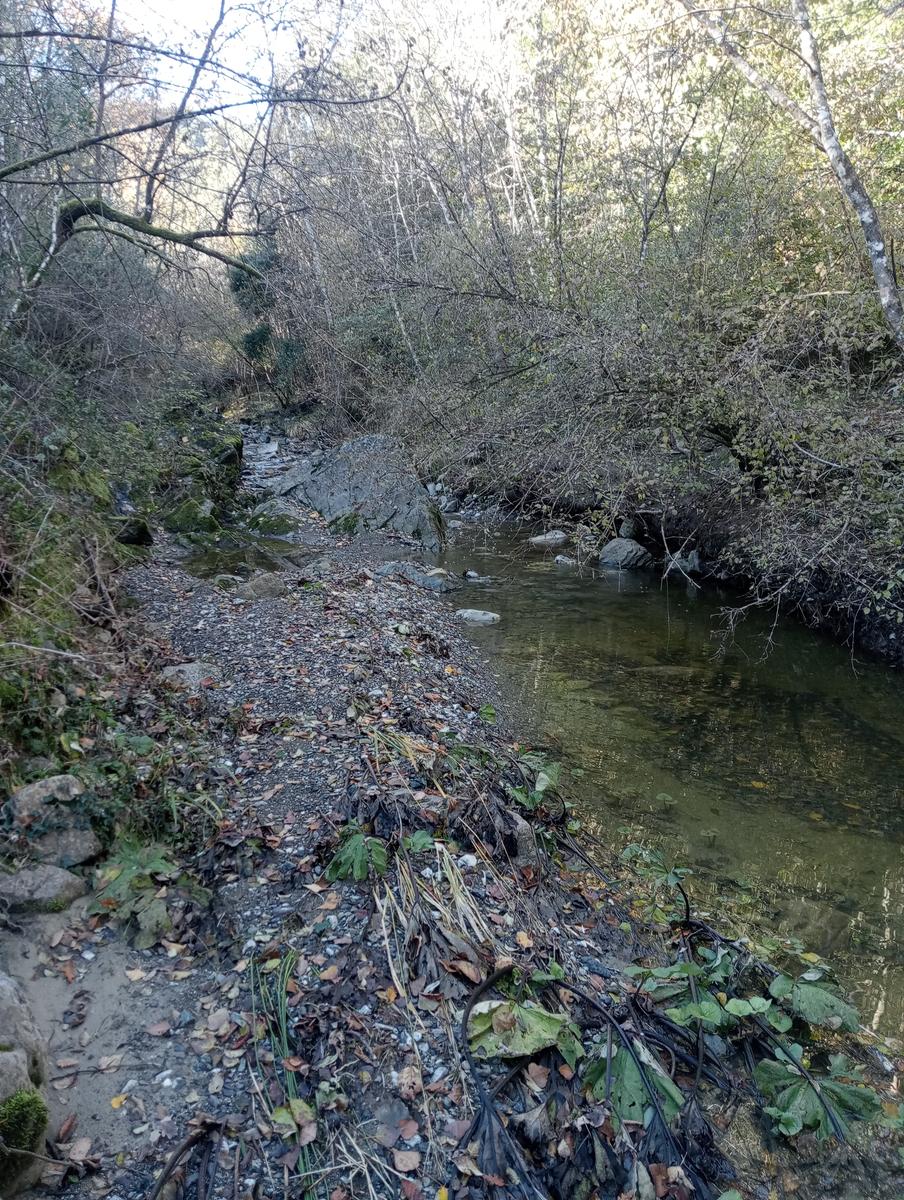 Gambassi terme - foto 6