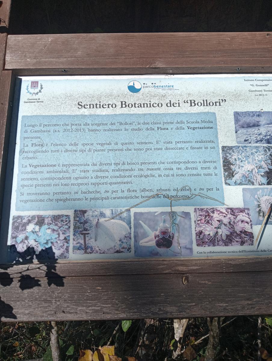 Gambassi terme - foto 11