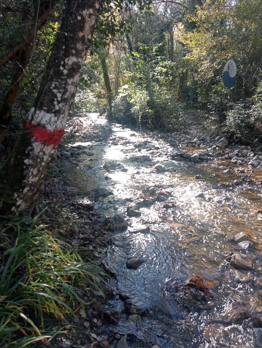 Gambassi terme - foto 12