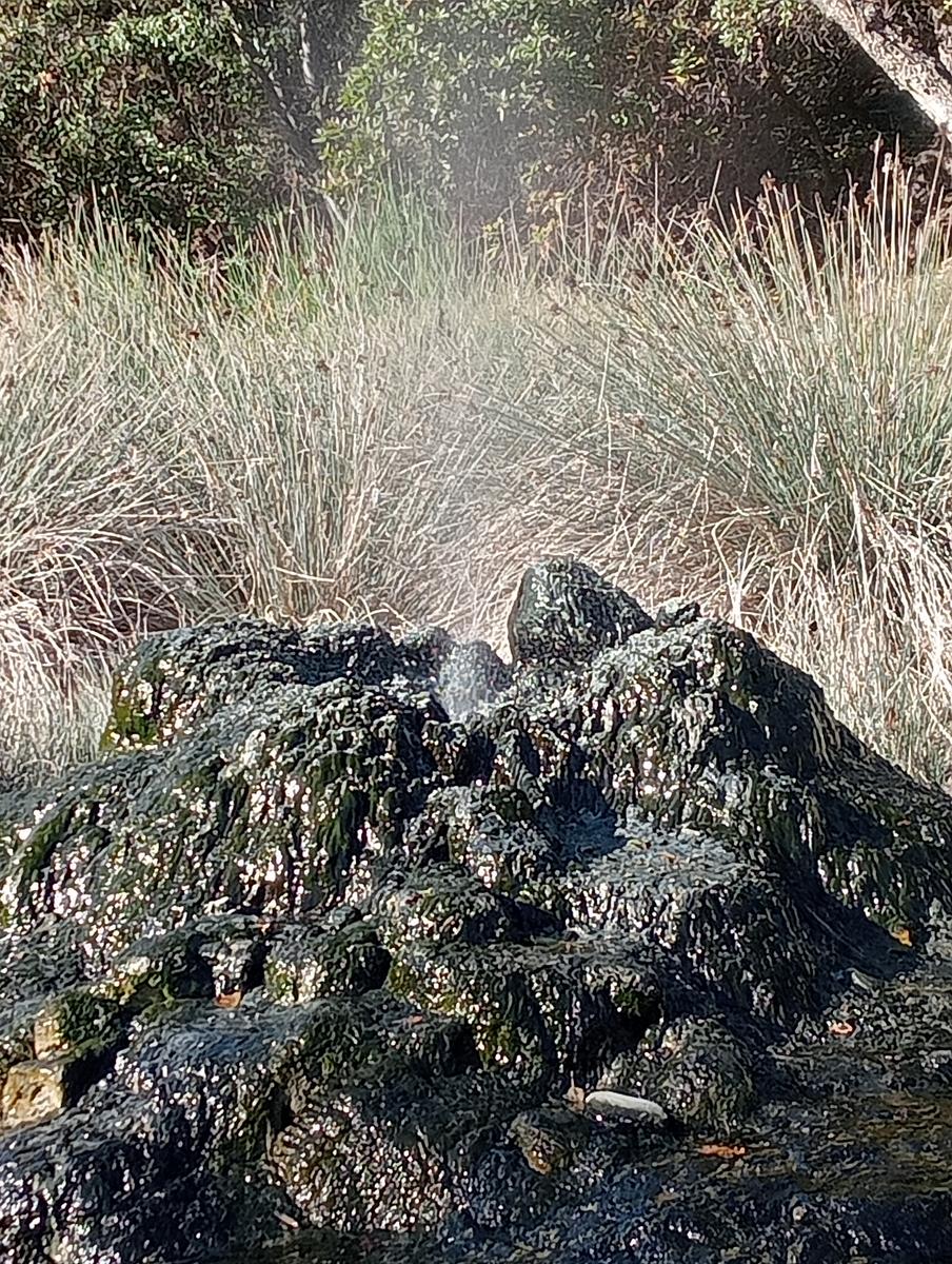 Gambassi terme - foto 13